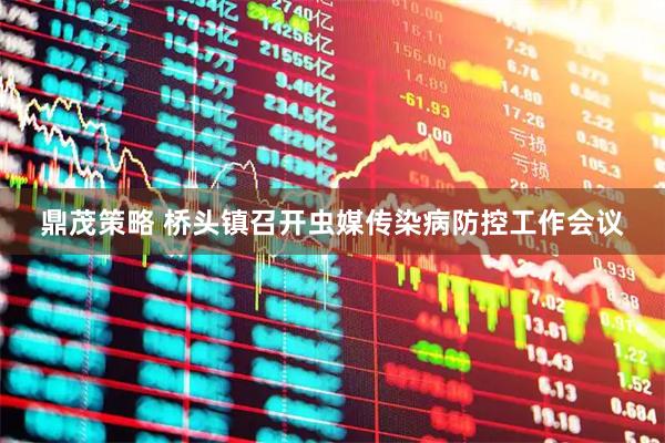 鼎茂策略 桥头镇召开虫媒传染病防控工作会议