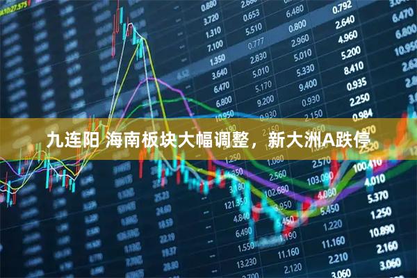 九连阳 海南板块大幅调整，新大洲A跌停