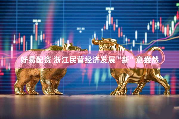 好易配资 浙江民营经济发展“新”意盎然