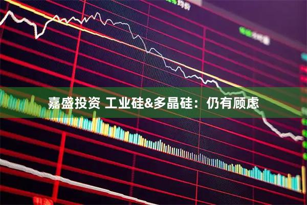 嘉盛投资 工业硅&多晶硅：仍有顾虑